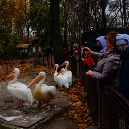 НА ШКІЛЬНИХ КАНІКУЛАХ В КИЇВСЬКИЙ ЗООПАРК